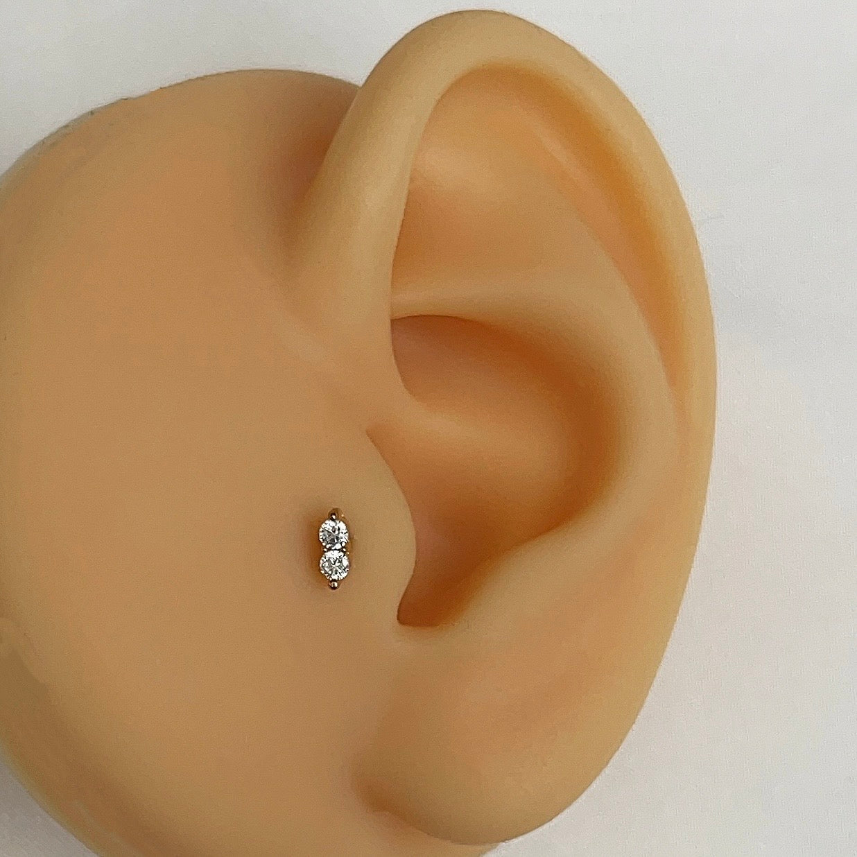 Tara | Tragus Piercing