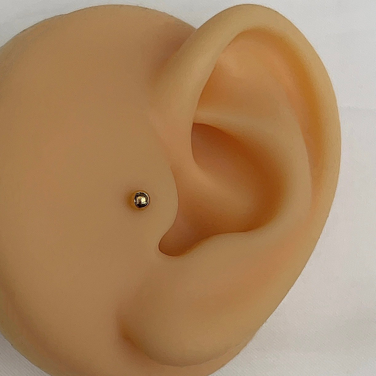 Dewi Gold | Tragus Piercing